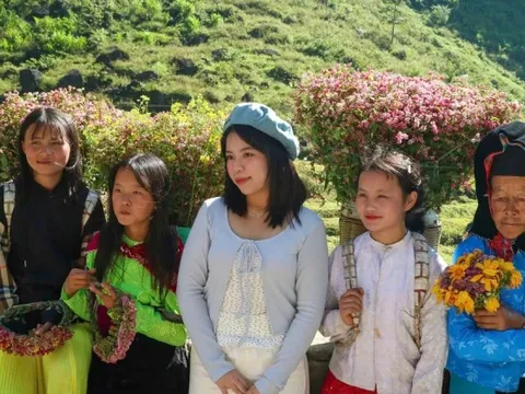 Gen Z rủ nhau lên núi săn mây, ngắm hoa tam giác mạch