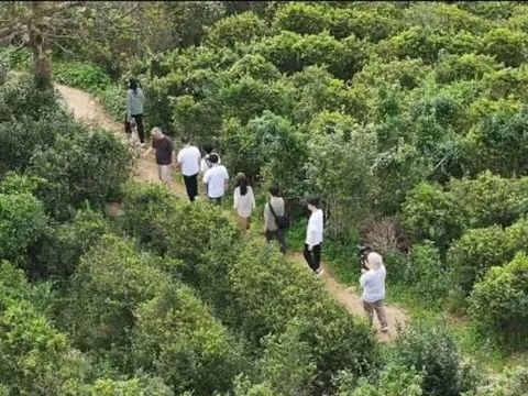 U40 về quê sống bên sông núi, tưởng được an nhàn nhưng 1 năm sau phải thốt lên: “Khác xa những gì tôi nghĩ”