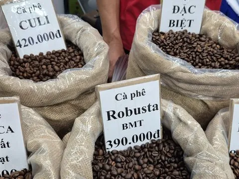 Giá cà phê hôm nay 29-11: Thêm phiên tăng và định hướng mới của cà phê Việt