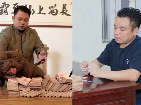 Chú chó có giá 2,6 tỷ đồng