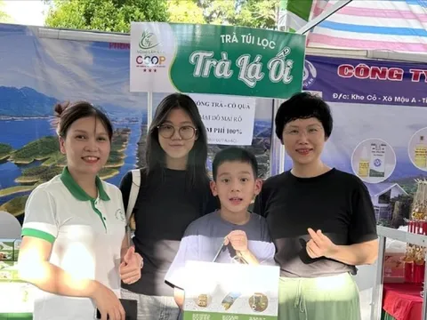 'Cô chủ nhỏ' làm giàu từ ... lá ổi