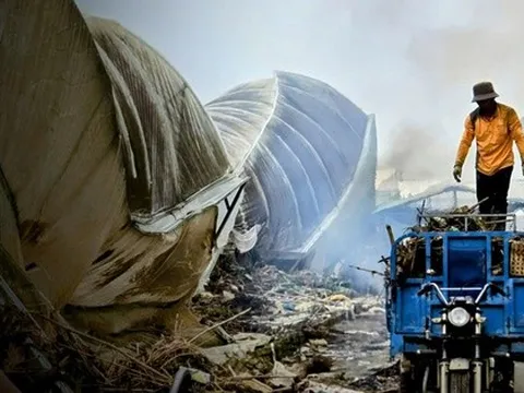 CLIP: Vựa rau lớn nhất Lâm Đồng xác xơ, nông dân mất tiền tỉ sau cơn "đại hồng thủy"