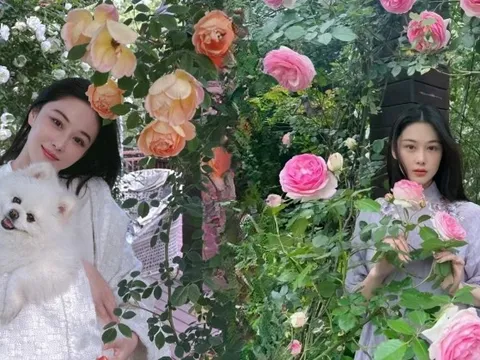 Từng là mỹ nhân thị phi, giờ là “bà chủ nông trại nhỏ”: Trương Hinh Dư khoe vườn hoa, vườn rau đẹp như tranh Monet khiến chị em phát sốt