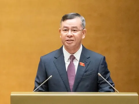 Còn tình trạng nhà, đất bị bỏ hoang, dùng không đúng mục đích