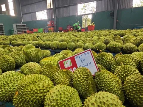 Xuất khẩu nông, lâm, thủy sản sớm về đích