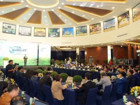 Các chuyên gia hội tụ tại World Tea Fest để đối thoại về trà: Trà sẽ tiếp tục là cây cầu mang lại sức khỏe, văn hóa, đối thoại, giáo dục và sự thịnh vượng cho cộng đồng