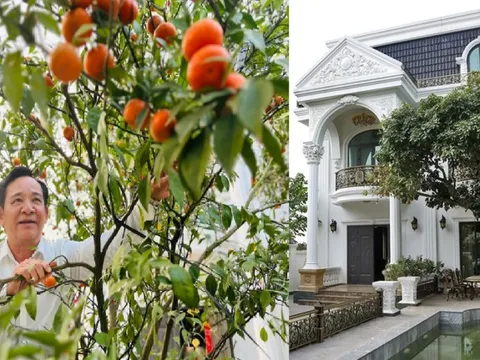 Cơ ngơi 1.000m2 của nam NSƯT mang quân hàm Thượng tá, U70 sống bình yên bên cô công nhân xưởng may