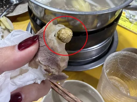 Quán bò nhúng dấm ở Hà Nội bị khách tố có dòi: Sáng quản lý phủ nhận, trưa quán dừng hoạt động