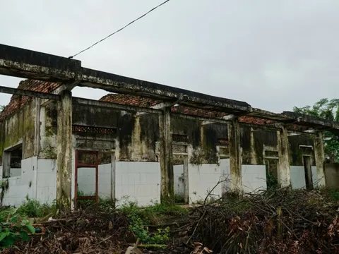 Hà Tĩnh: Cận cảnh phòng khám bỏ hoang nằm giữa khu “đất vàng” trở thành nơi chăn nuôi gia súc