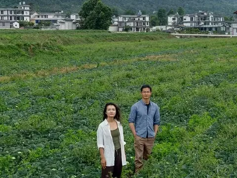 U30 bỏ phố chuyển về vùng núi "dưỡng già", chưa đầy 1 năm đã thảng thốt: “Đó không phải cuộc sống tôi muốn”