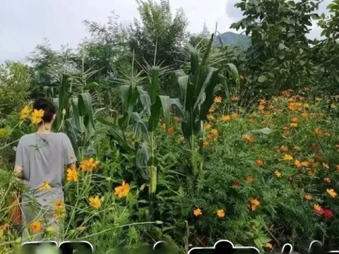 Biệt thự của "mỹ nhân có vòng eo đẹp nhất showbiz", ai đi qua cũng ngoái nhìn