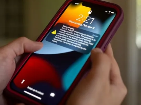 Cảnh bảo nóng với những người tò mò CV của Le Xuan Son