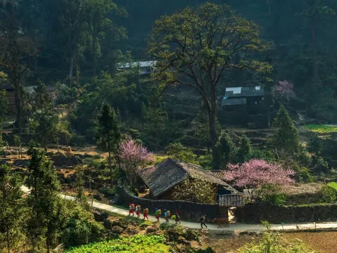 Tuyên Quang được vinh danh "Điểm đến văn hóa khu vực hàng đầu thế giới 2025" tại World Travel Awards