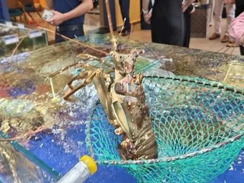 Xuất khẩu tôm lập kỷ lục