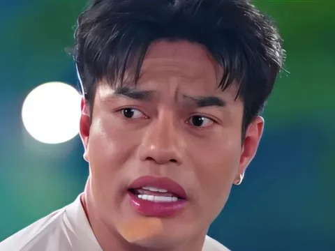 Lê Dương Bảo Lâm cầu cứu