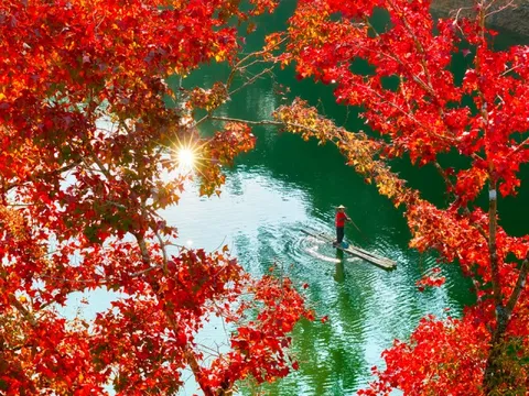 Hồ nhân tạo ở Cao Bằng rực rỡ như trời Âu mùa phong hương thay lá