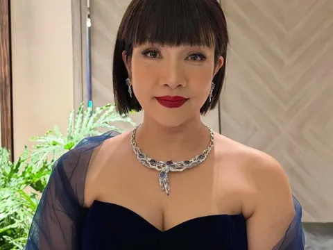 Đây mà là diva Mỹ Linh sao?