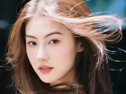 Trương Bá Chi tuyên bố sinh con cho đến khi không thể