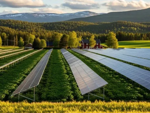 Nhà máy điện mặt trời nông nghiệp 46 MW: Bước ngoặt quan trọng cho quốc gia Bắc Âu