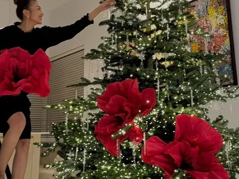 Mỹ nhân Vbiz 40 tuổi mới lấy chồng, không phải làm dâu, sống như bà hoàng trong bạch dinh 1000m²