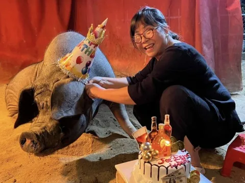 Sao Việt nuôi lợn ở biệt thự 1400 m² giữa phố cổ, nói 1 câu về chuyện để lại tài sản cho con quá bất ngờ