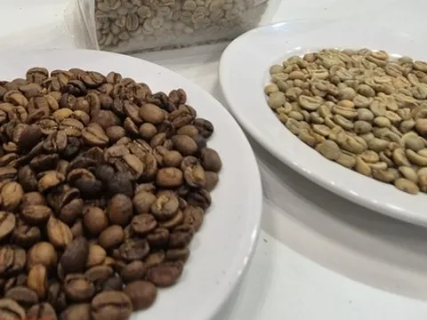 Giá cà phê hôm nay 17-12: Lao dốc dù Brazil ra hàng nhỏ giọt