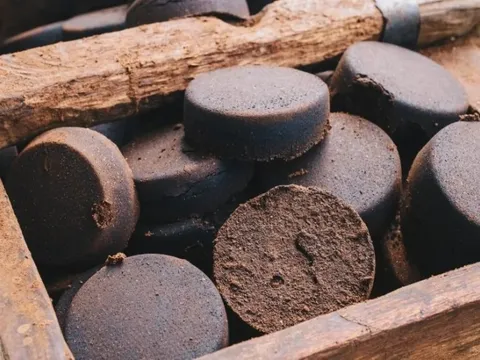 Phát hiện có thể thay đổi tương lai ngành xử lý chất thải: biến rác thành 'bộ lọc', loại bỏ hơn 98% kim loại nặng khỏi nước ô nhiễm, tiết kiệm tiền tỷ