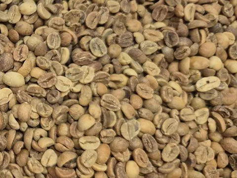 Giá cà phê hôm nay 19-12: Giảm phiên thứ 6 liên tiếp