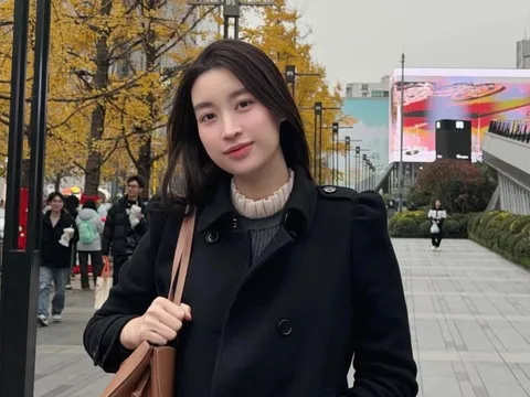 Tình hình hiện tại của Đỗ Mỹ Linh