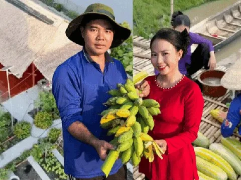 Bỏ phố về quê, vợ chồng miền Tây biến mảnh đất 3.000m2 khô cằn thành khu vườn được quy hoạch thẳng tắp như "chơi game"