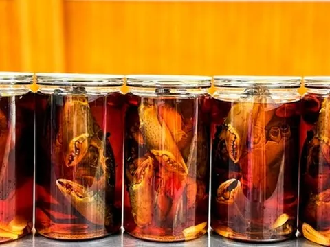 Đặc sản cua gạch Cà Mau ngâm nước mắm giá gần 1 triệu đồng/kg