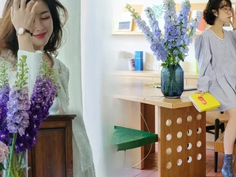 Muốn nhà sang như Tây dịp Tết, thử ngay phi yến xanh: Người mới chơi chớ dại mua loại này kẻo "tiền mất tật mang"