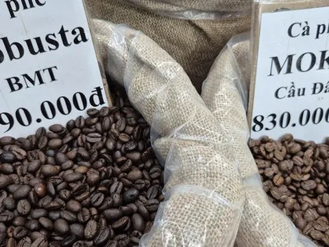 Giá cà phê hôm nay 24-12: Việt Nam là nguồn cung cà phê số 1 cho Tây Ban Nha