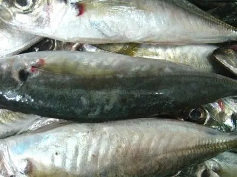 Người bán cá tiết lộ những loại cá họ bán nhiều nhất mỗi sáng