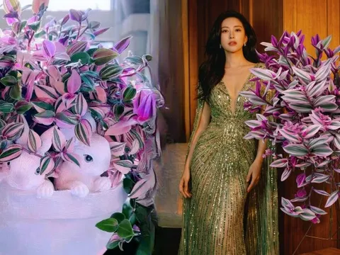 Loài cây "tranh sơn dầu" đang hot rần rần: Vừa rẻ vừa đẹp, đặt đâu sang đó, chưng Tết này là chuẩn bài!