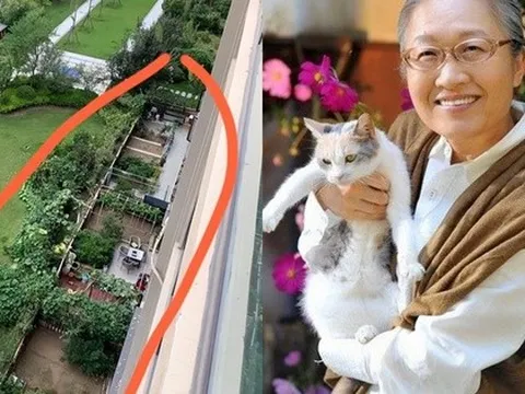 Sau 5 năm sống ở tầng 24, mẹ tôi chuyển xuống tầng một và “sống lại”: Sự thay đổi khiến cả họ hàng bất ngờ