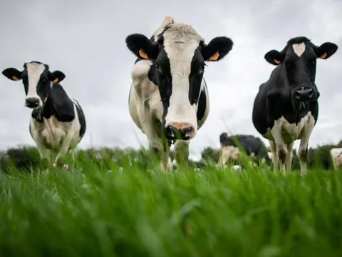 Trung Quốc ‘trả đũa’