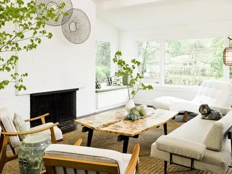 Đầu năm mới khuyên bạn nên trồng 5 loại cây này: Rước lộc vào nhà, hút tiền bạc như nam châm