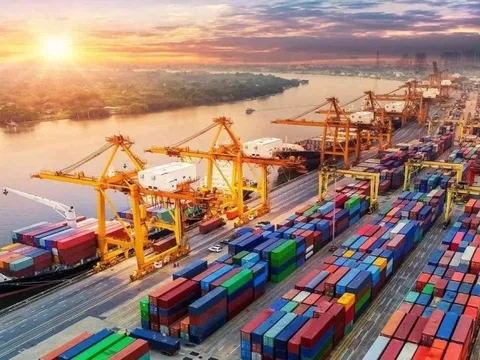 Nhà bán hàng Việt Nam có doanh thu triệu đô từ xuất khẩu toàn cầu mọc lên như nấm sau mưa