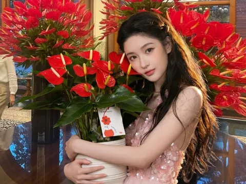 Loài hoa "nồi đồng cối đá" nở thông 365 ngày: Muốn chồng thăng quan tiến chức, tiền vào như nước nhất định phải rước về