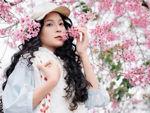 Sắc hồng phủ kín cao nguyên, vạn vật đều thua mùa hoa này ở Đà Lạt