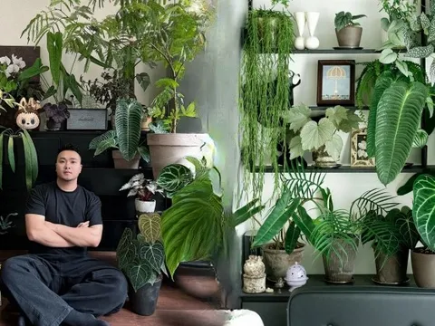 Bỏ phố về... ban công: Chàng trai 9x chia sẻ bí kíp "mang rừng về phố", chỉ 3 quy tắc sắp xếp là có ngay góc chill triệu like