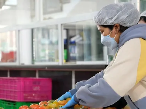 Giá rau củ quả cao ngất ngưởng