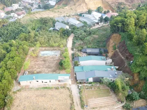 Lào Cai: Đất rừng Văn Phú bị phân lô có hợp pháp ?