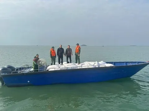 Quảng Ninh bắt giữ 3 xuồng máy chở 27 tấn cau khô không rõ nguồn gốc