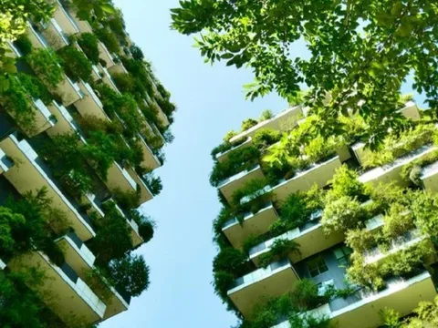 Sơn và chất phủ bền vững: Đòn bẩy tăng giá trị công trình