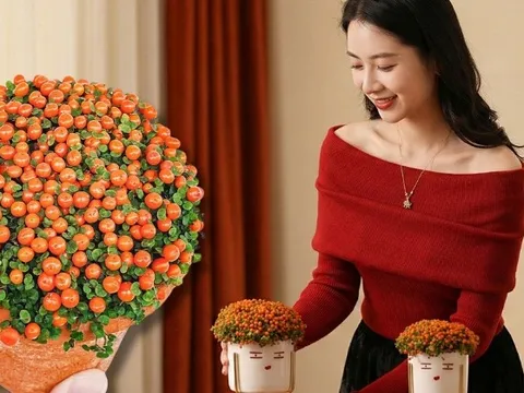 "Bảo bối" phong thủy mới cho Tết Bính Ngọ 2026: Tên nghe sang chảnh, bé xíu xiu mà hút lộc cả năm