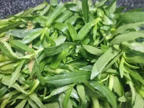 2 loại rau "khoái khẩu" của người Việt mùa se lạnh dễ là "ổ sán", nhất là cái số 1 ngoài chợ có đầy