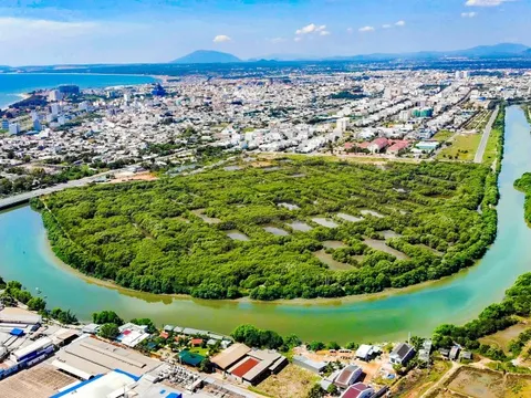 Lâm Đồng "đánh thức" gần 30ha đất ngập nước, tái sinh "lá phổi xanh" giữa đô thị