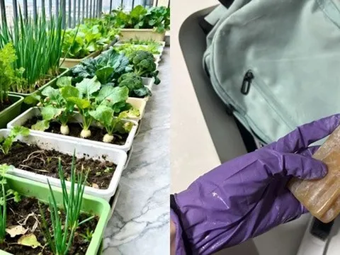 Bị chê keo kiệt suốt nhiều năm, lối sống của thế hệ cũ nay trở thành cái phao cứu giới trẻ